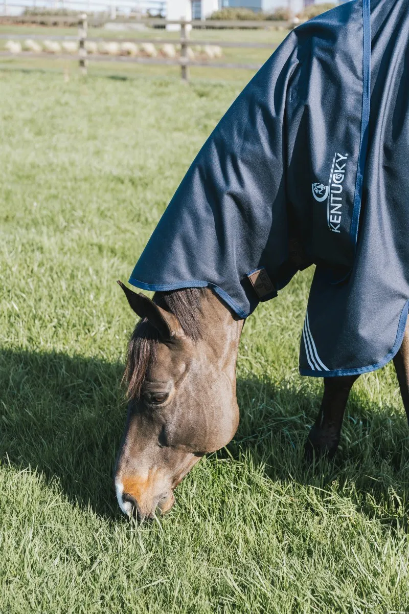 0g Neck Rug All Weather Turnout Waterproof Comfort | Kentucky