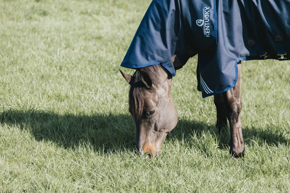 0g Neck Rug All Weather Turnout Waterproof Comfort | Kentucky