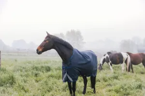 0g Turnout Rug All Weather Waterproof Comfort | Kentucky