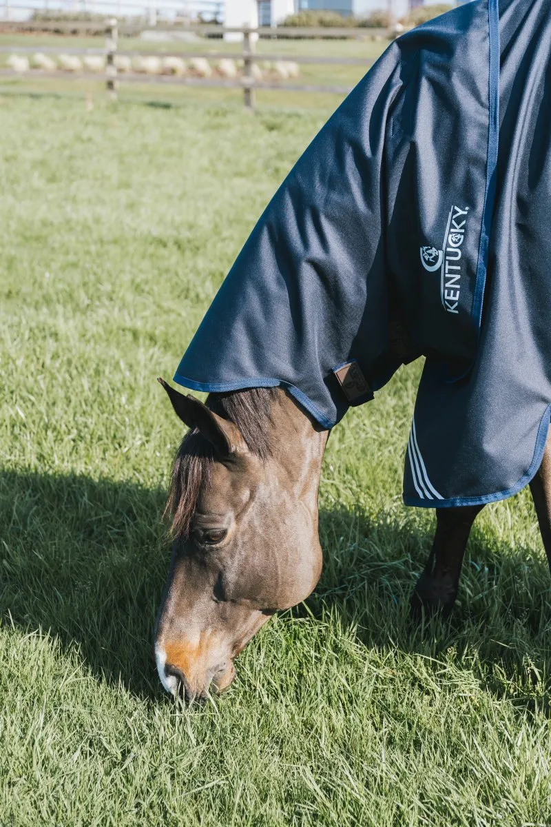 0g Turnout Rug All Weather Waterproof Comfort | Kentucky