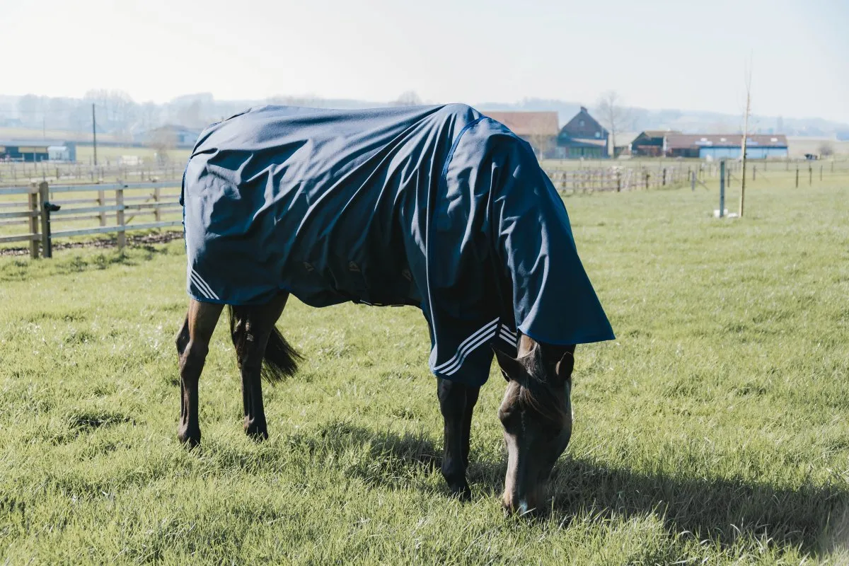 0g Turnout Rug All Weather Waterproof Comfort | Kentucky