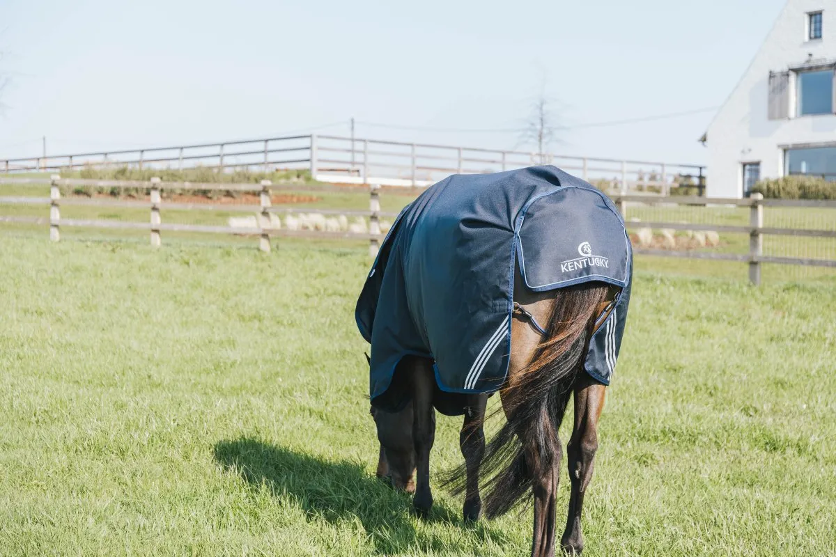 0g Turnout Rug All Weather Waterproof Comfort | Kentucky