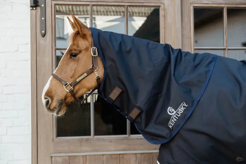 100g Neck Rug All Weather Turnout Waterproof Comfort | Kentucky