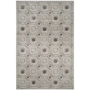 Amherst 6' x 9' Indoor/Outdoor Woven Area Rug - Light Gray/Ivory