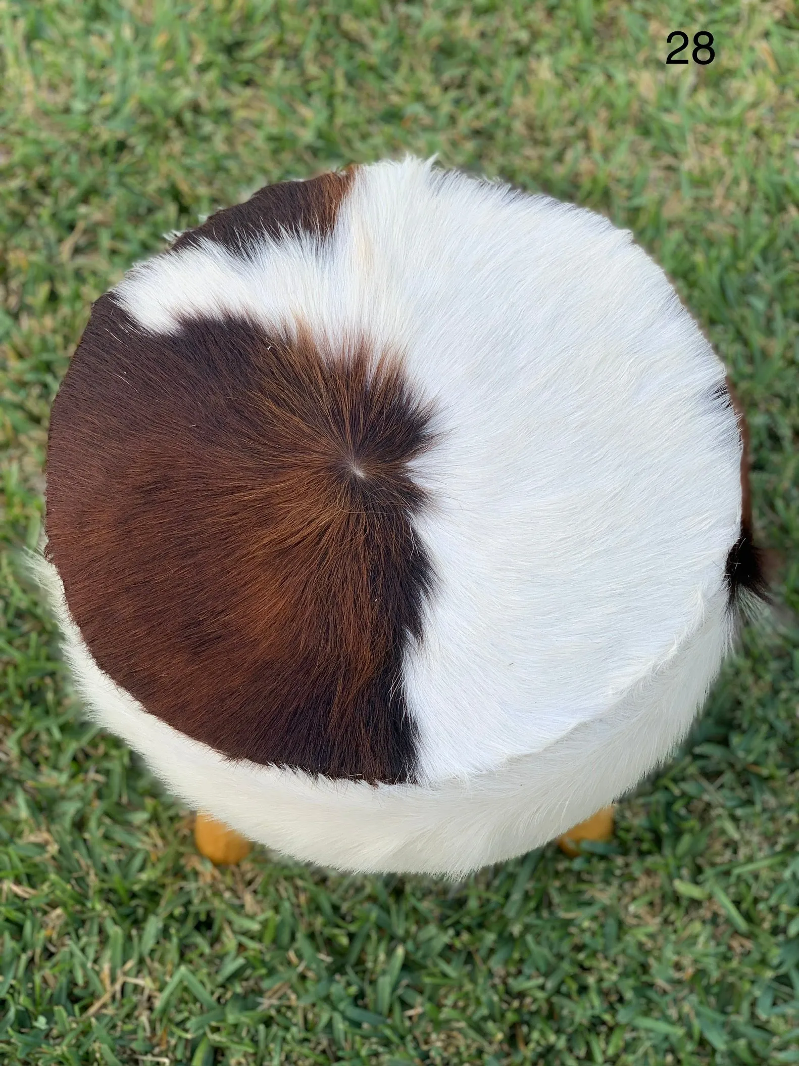 Cowhide Stool #28