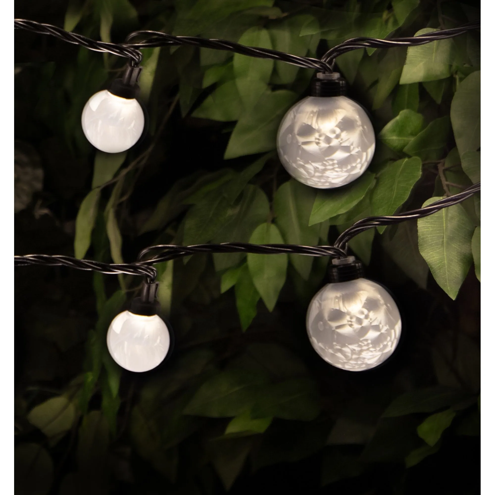 Danson G40 and G60 LED String Lights, 12-ft.
