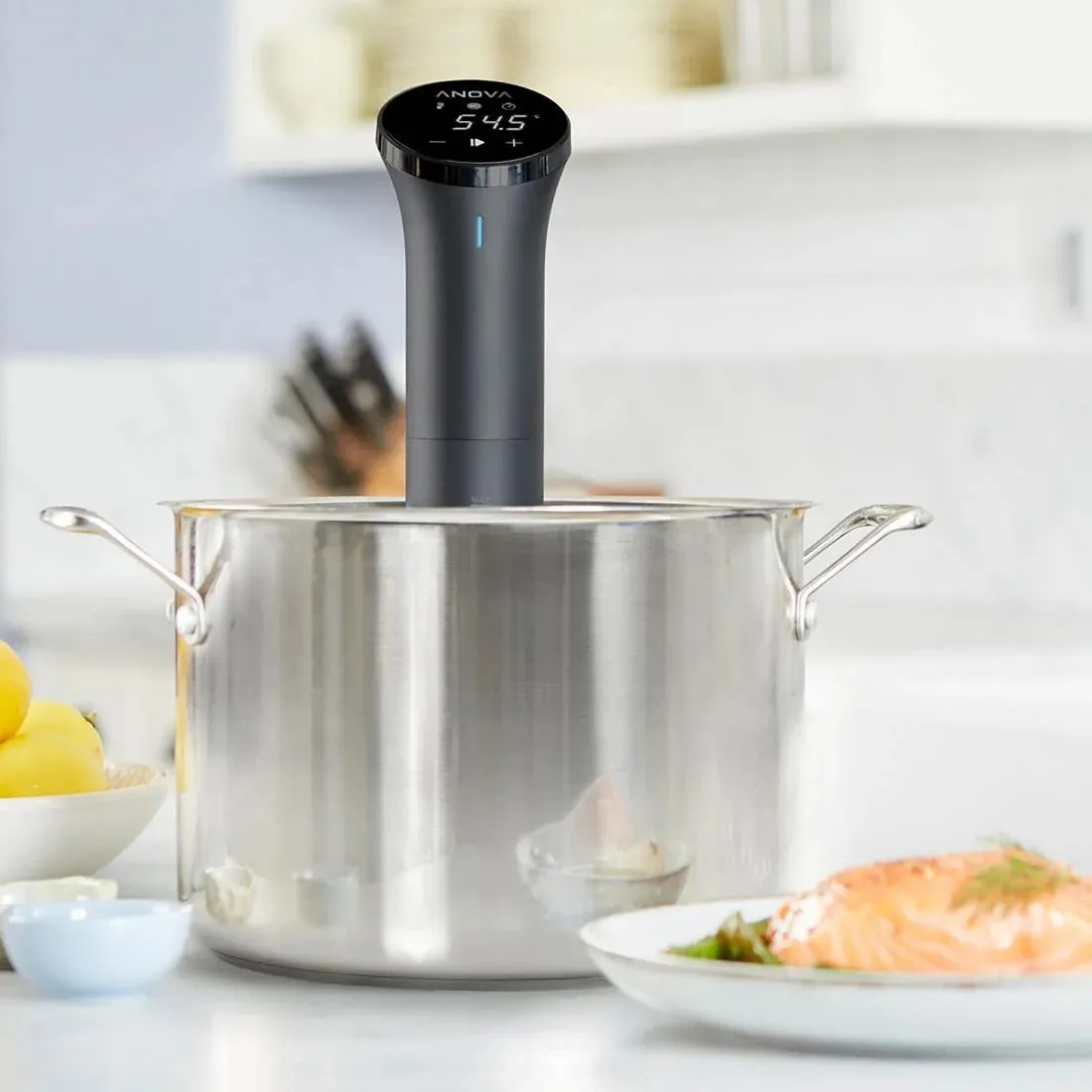FT516 Anova Precision Cooker Nano