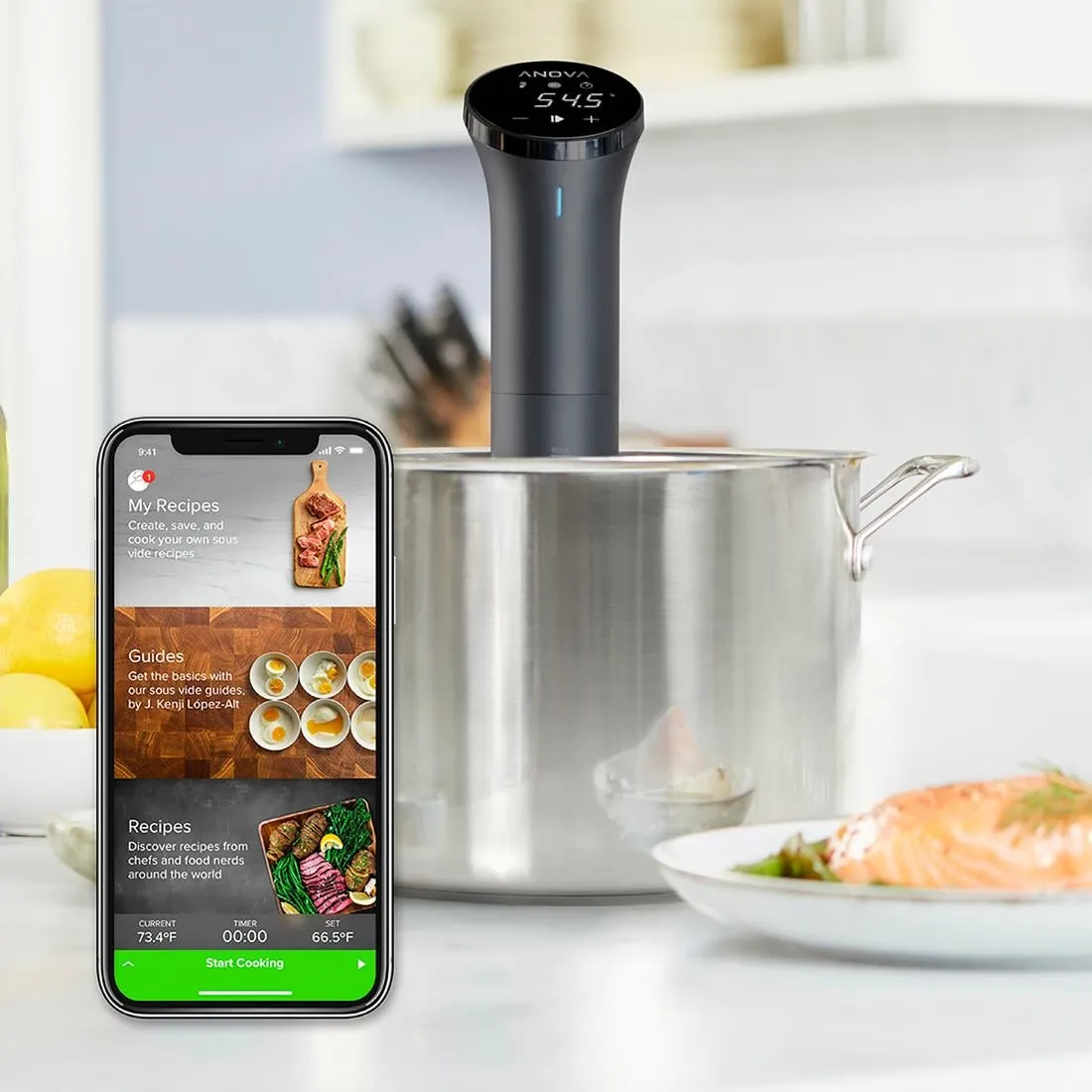 FT516 Anova Precision Cooker Nano