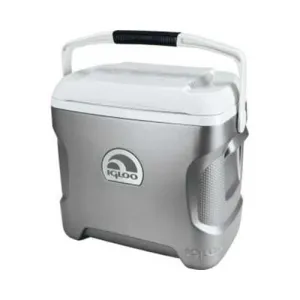 Iceless 28