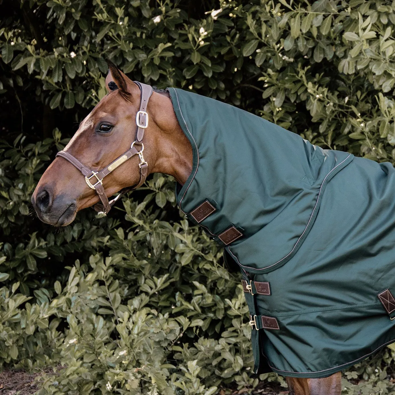 Kentucky Horsewear Pro All Weather Turnout Neck Cover 150g - Pine Green