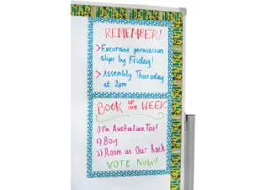 Magnetic Borders Pk 12 Narrow Natural