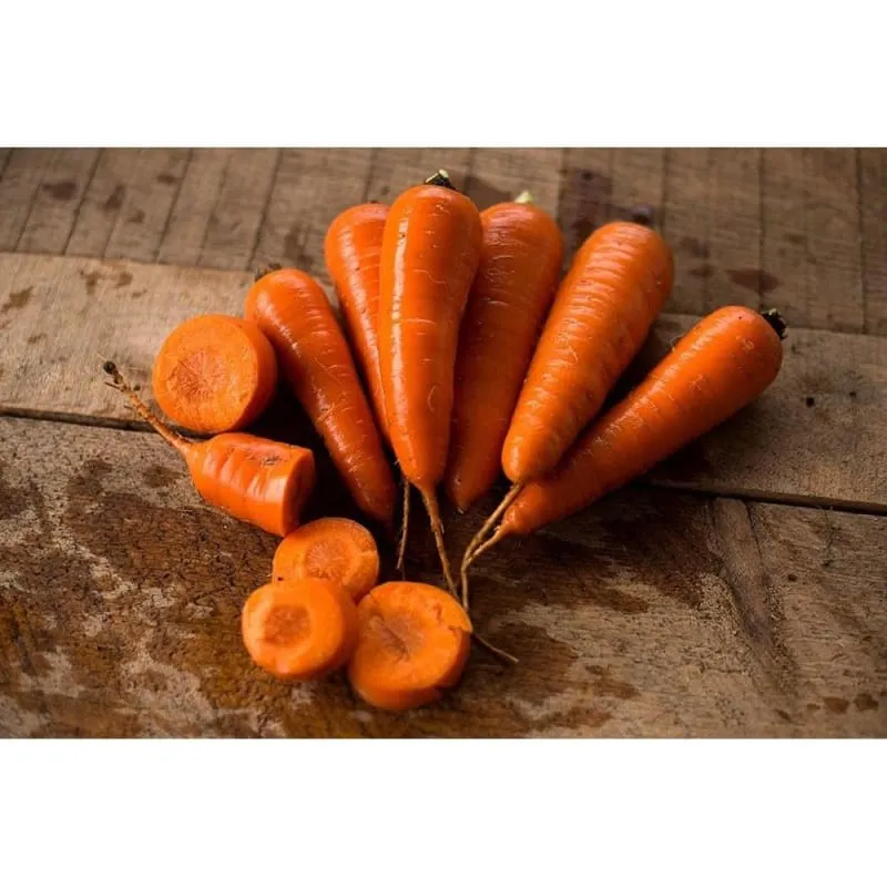 Red Cored Chantenay Carrot (Heirloom, 75 Days)
