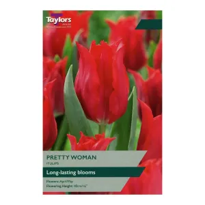 Taylors 7 Pretty Woman Tulip Bulbs