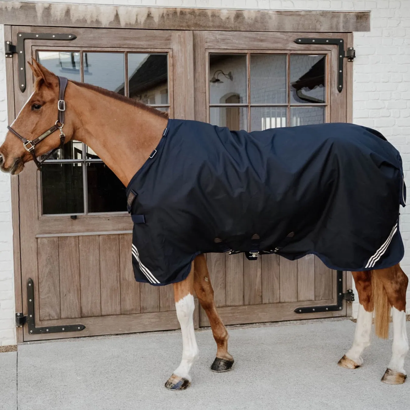 Turnout Rug All Weather Waterproof Comfort