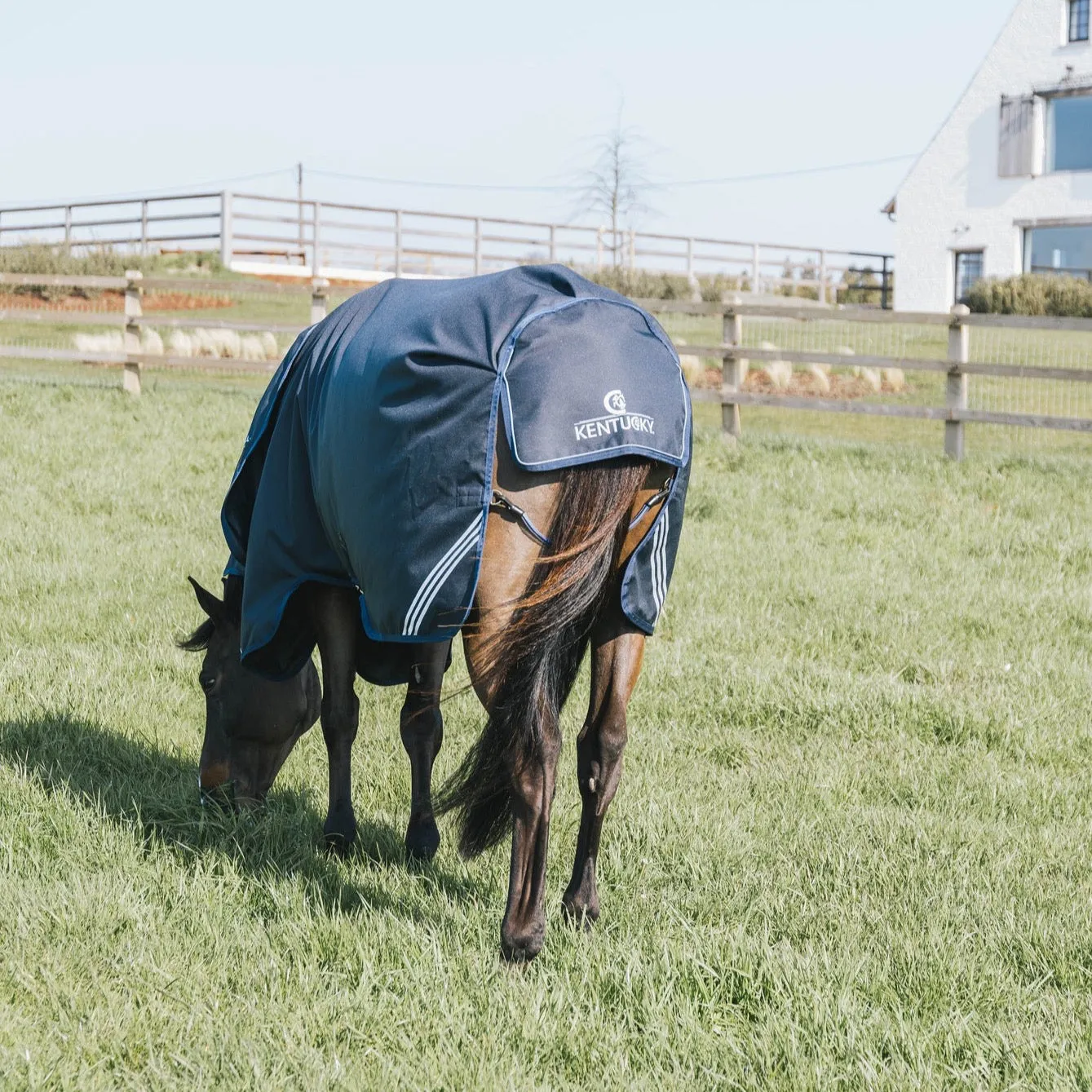 Turnout Rug All Weather Waterproof Comfort