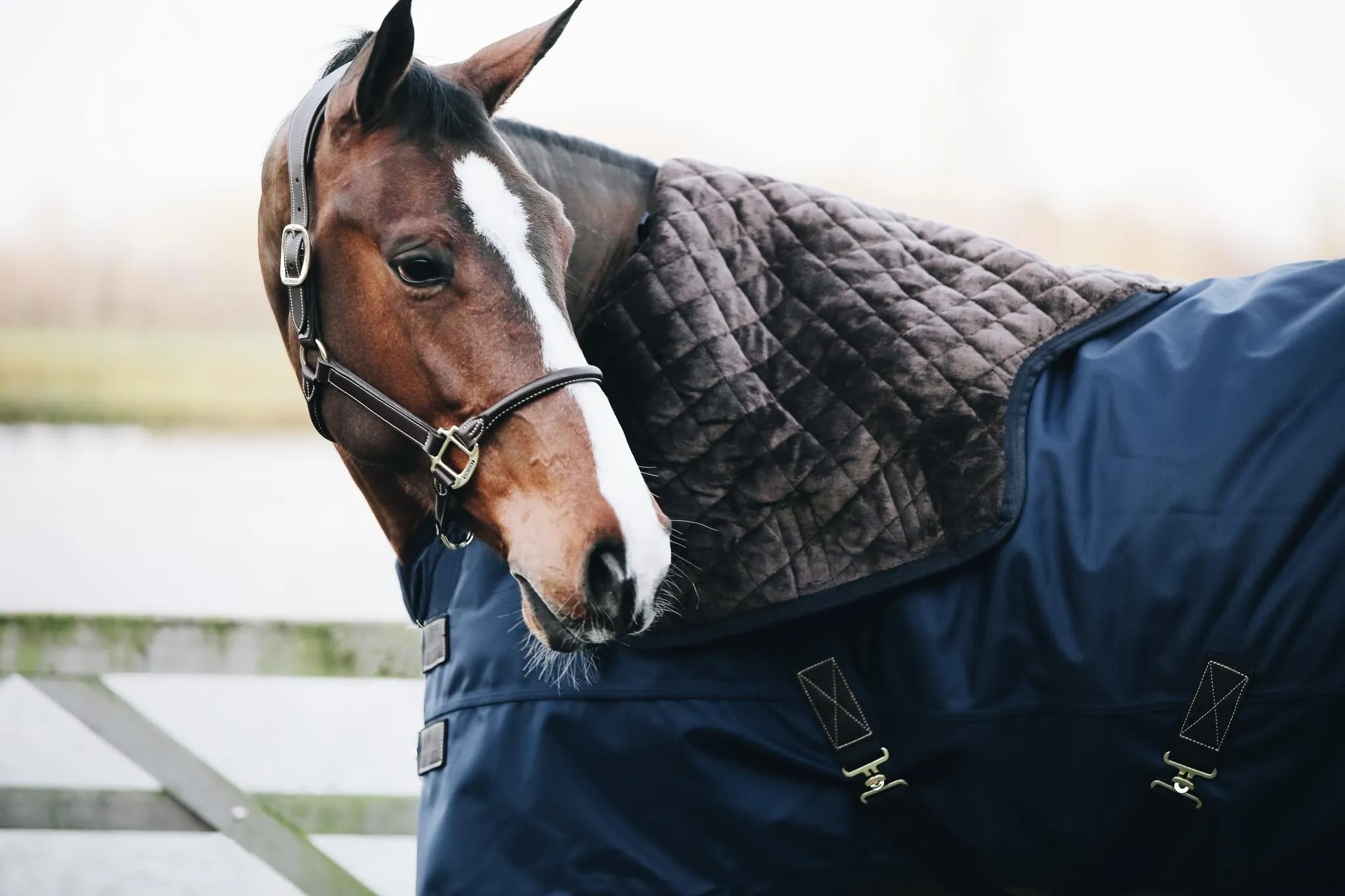 Turnout Rug All Weather Waterproof Pro 0G