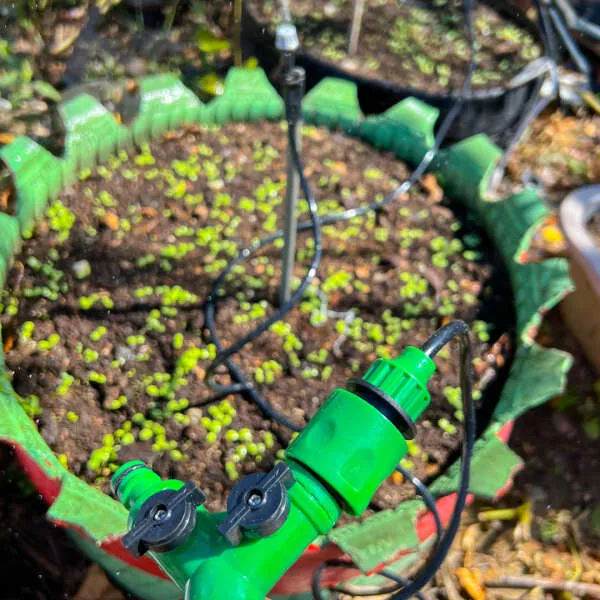 Waterly - Garden watering system